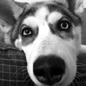 Meet your Posher, Ava